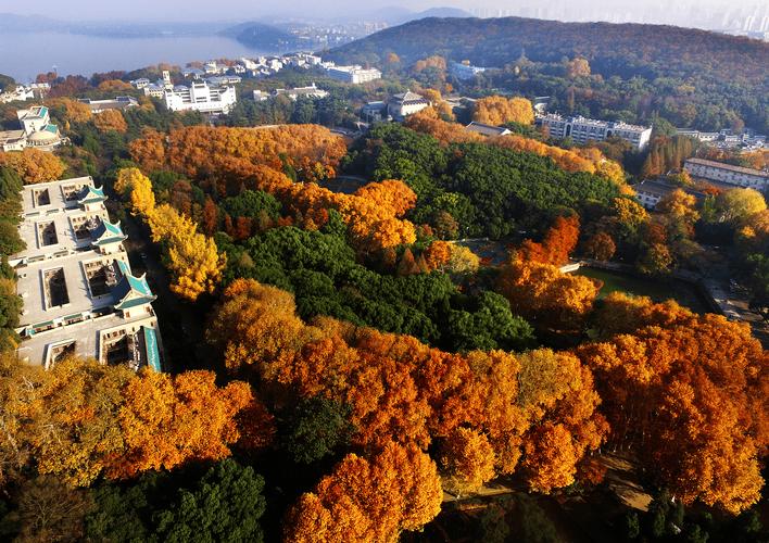 武漢大學(xué)宣布"無需預(yù)約"之后:全國媒體點贊,學(xué)生認為"一些問題得到了