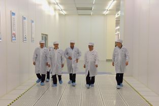 政協(xié)常委陳清泰 持續(xù)加大對武漢國家存儲器基地項目投入