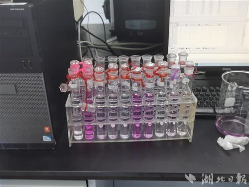 口紅里是否含汞 十分鐘出結(jié)果 探秘武漢食品化妝品檢測(cè)所